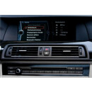 FISCON Pro für BMW F-Serie, Kodier-Interface (ohne USB/grau)