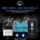 Bluetooth Audio Interface mit Titellisten für Porsche PCM3.1